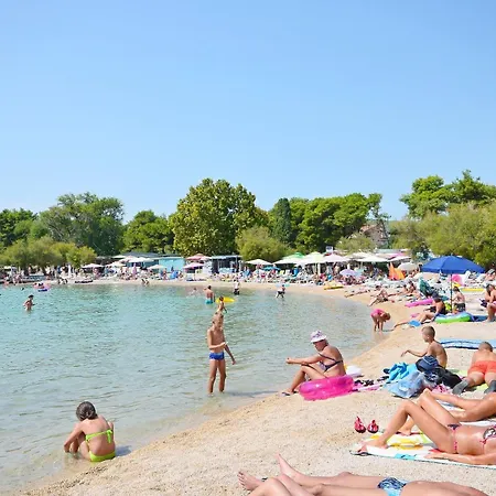 Vintage Dalmatia